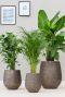Baq luxe plantenbakken goud