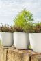 Bola pot beige plantenbak 2 2
