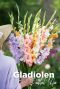 Gladiolen pastel mix blumenzwiebeln