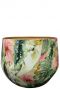 Lammie monstera mystery topfe