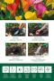 Calla mix 