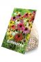 Echinacea Mix 