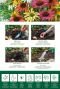 Echinacea Mix 