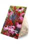 Perennial Pollinator Mix 