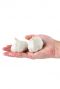 Garlic White