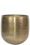 Rowen pflanzen topf 38
