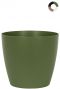 San-remo-grun-12cm- 1