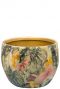 Topf designed by lammie monstera mystery