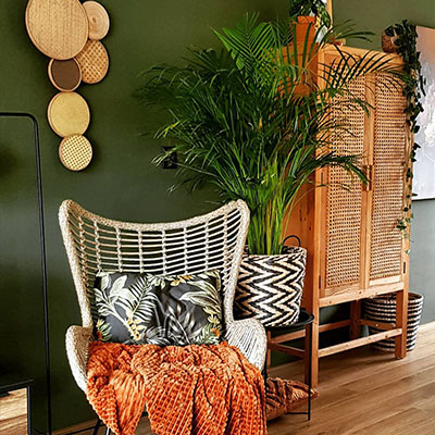 Areca Palme im Korb Wohnzimmer