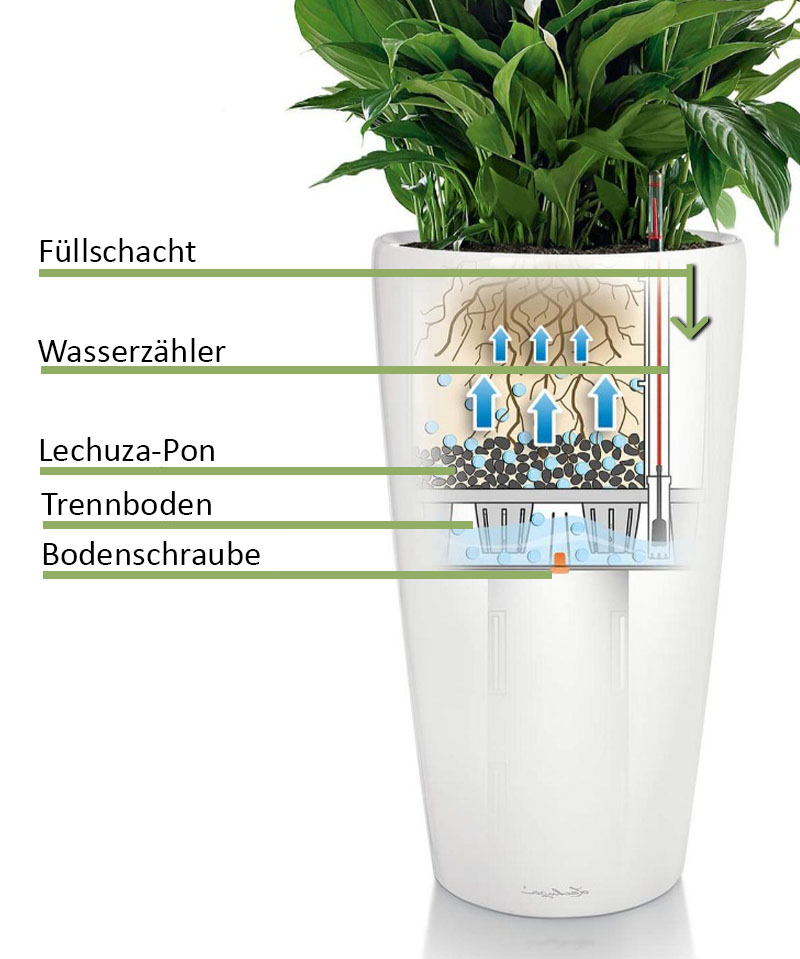 Lechuza Classico Watergeefsysteem Lechuza-Classico Watergeefsysteem