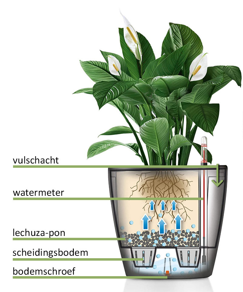 Lechuza Classico Watergeefsysteem Lechuza Classico Watergeefsystemen