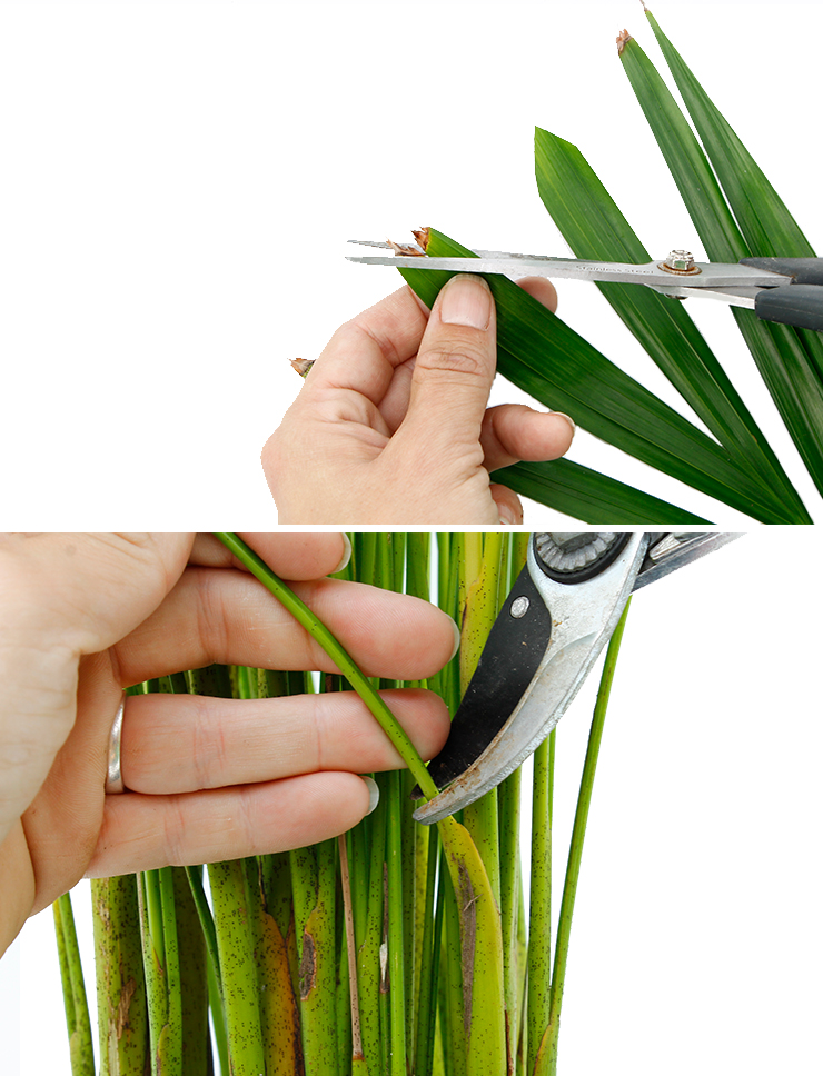 Areca Wartung Areca Wartung