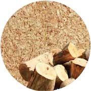 Holzfasern Holzfasern