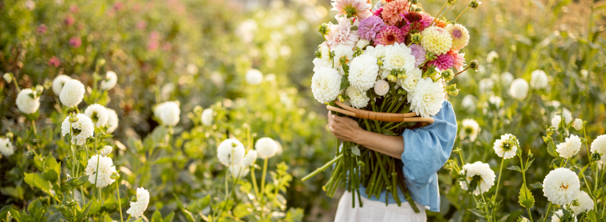 Top 10 Blumenzwiebelarten, die deinen Garten 2025 verschönern können Top 10 Blumenzwiebelarten, die deinen Garten 2025 verschönern können