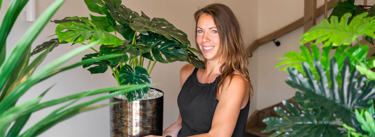 Eine Kunstpflanze in 6 Schritten arrangieren